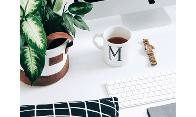 New blog content and storefront articles